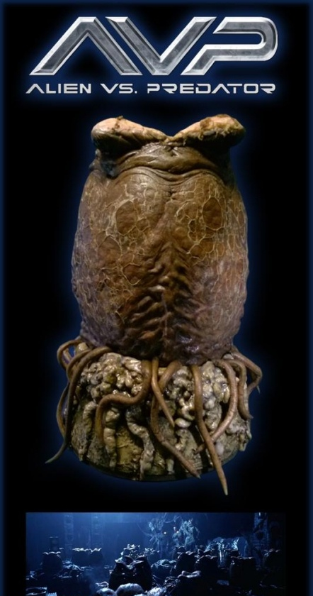 Xenomorph Egg