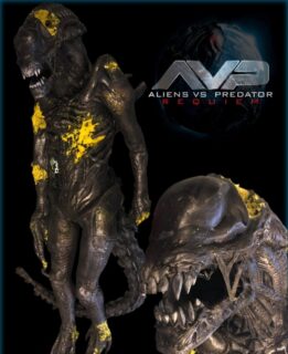 Battle Damaged Xenomorph