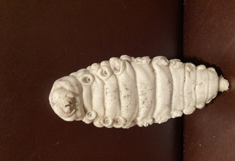 Oompa Loompa Grub Casting