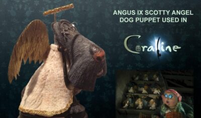 “Angusl IX” Taxidermied Dog Puppet