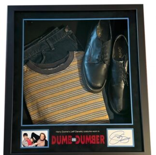 Harry Dunne (Jeff Daniels) Costume
