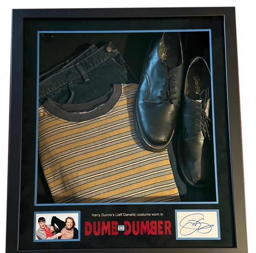 Harry Dunne (Jeff Daniels) Costume