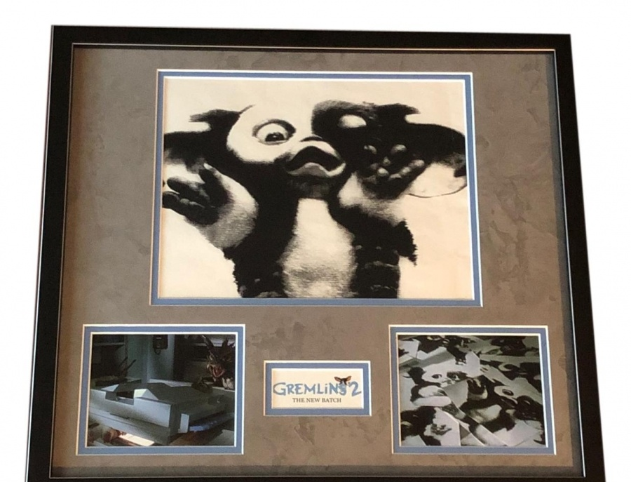 Gizmo Xerox Photo