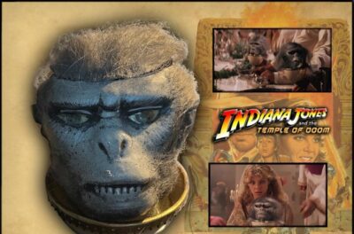 Chilled Monkey Brains Head