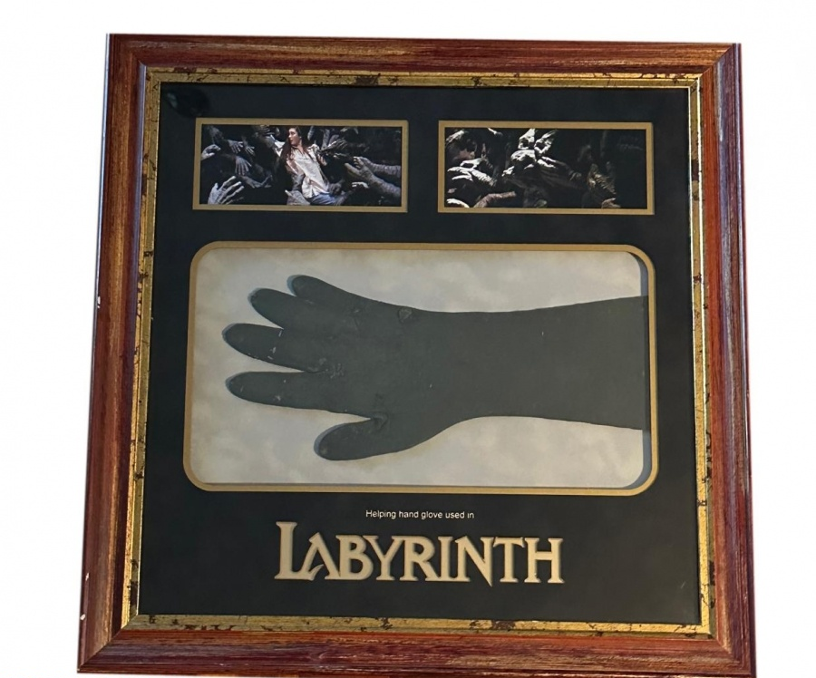 Helping Hand Glove