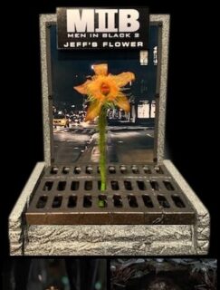 Jeff the Subway Worm’s Flower
