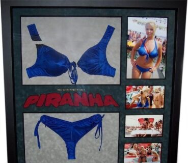 Ashlynn Brooke’s Severed Bikini