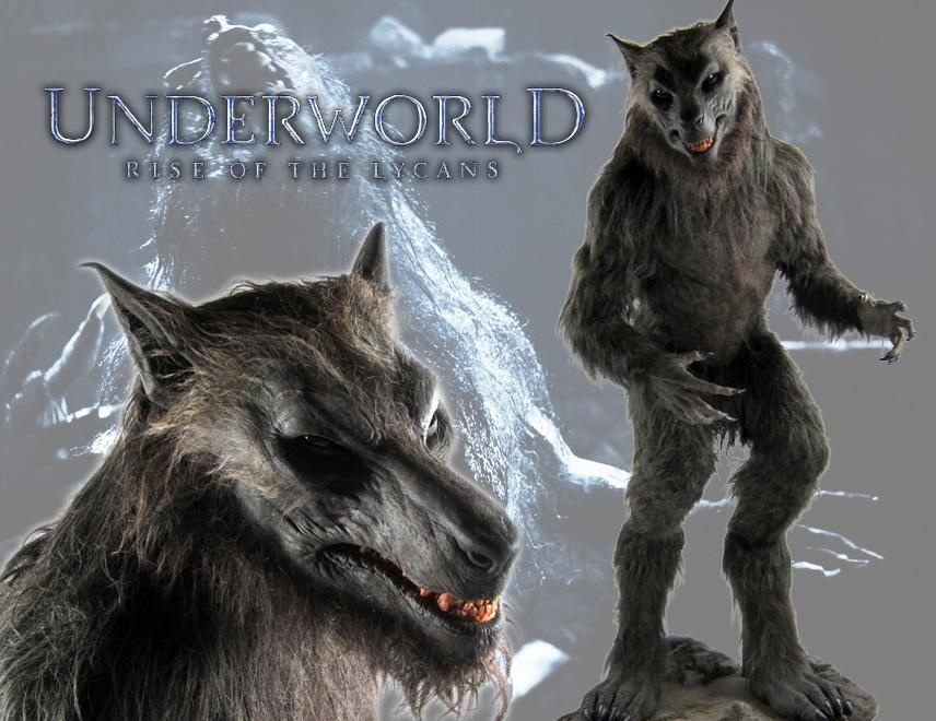 Lycan Display